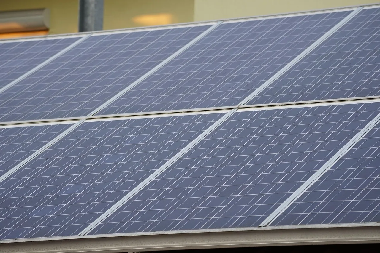 Bluebird Solar launches 630Wp n-type TOPCon bifacial module