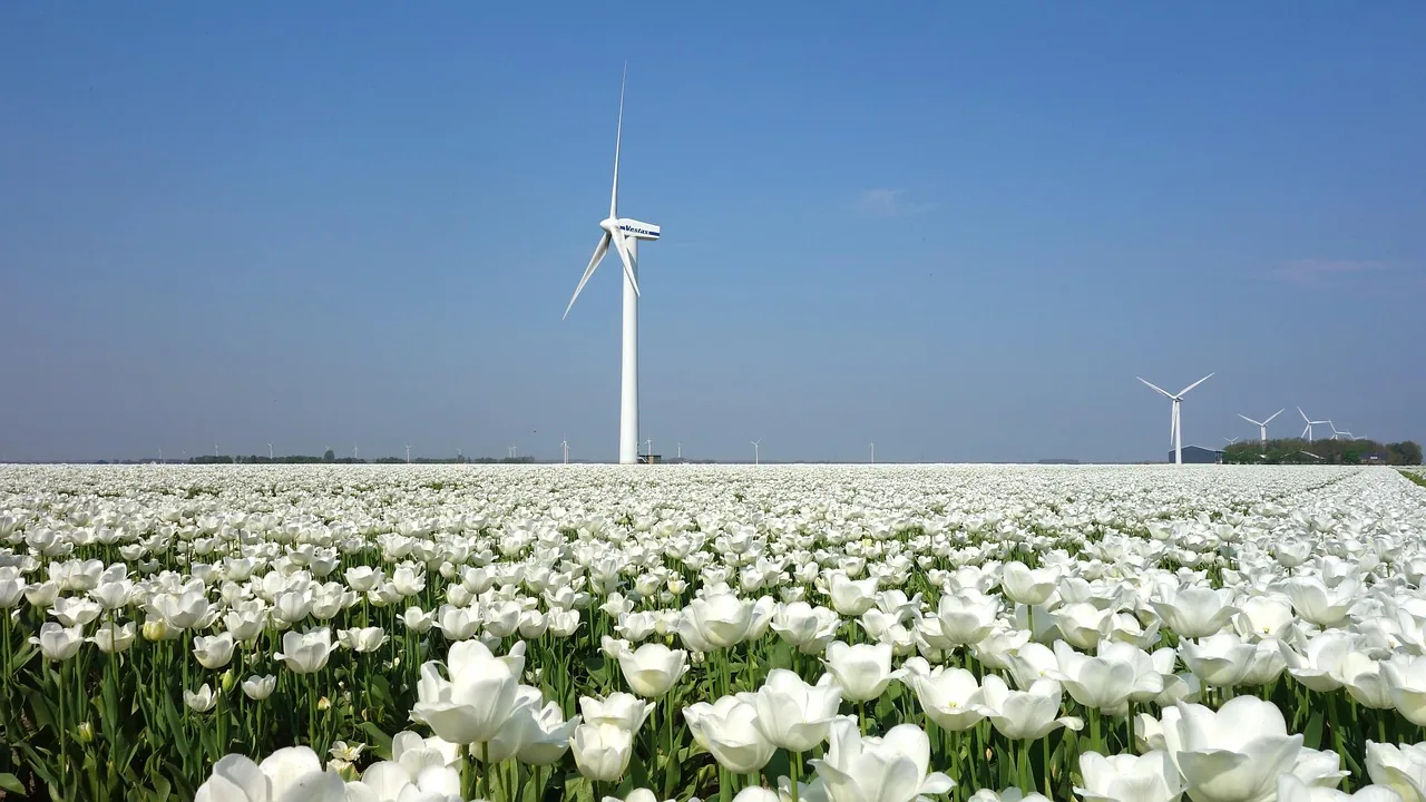 EU hydropower sites could host 25 GW of wind and solar