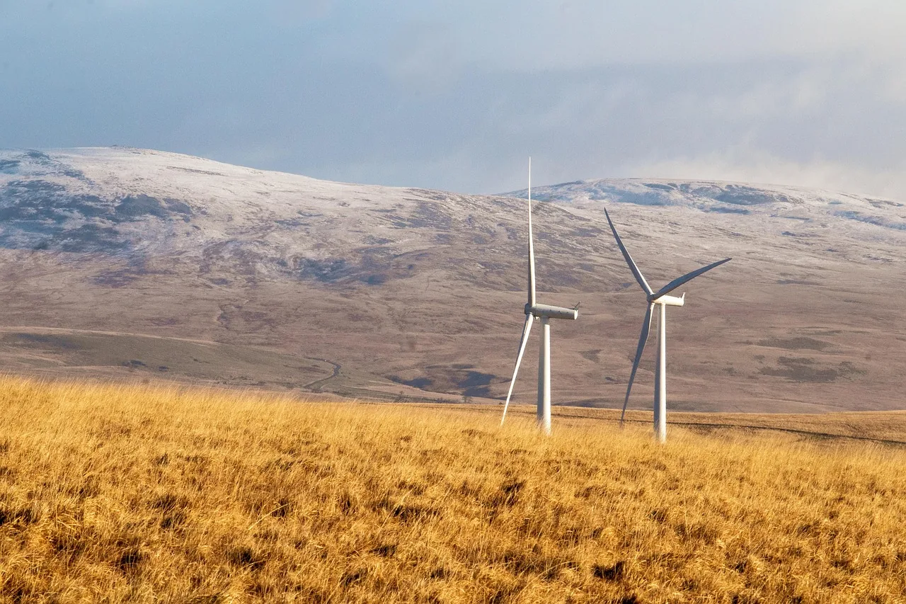 Trump administration buys back four Invenergy offshore wind leases for $765M
